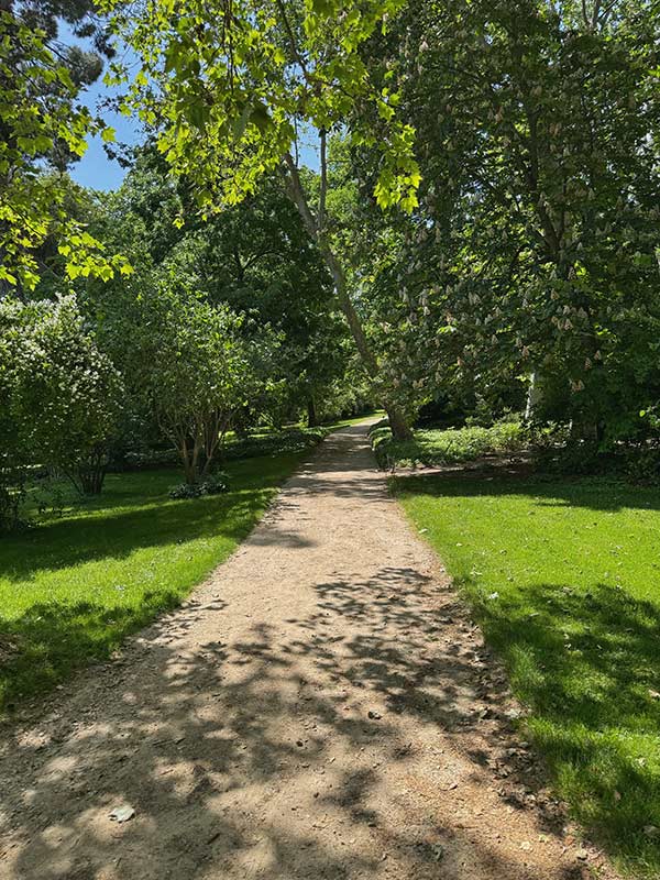 Tree lined walking path in El Capricho Park with dappled sunlight, green lawns, and dense foliage creating a calm, natural atmosphere on a bright day